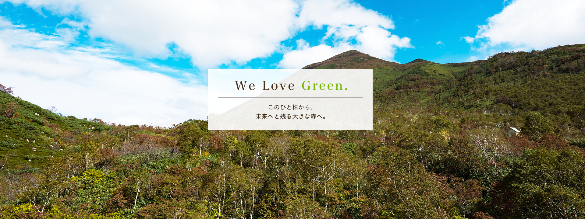 We Love Green.