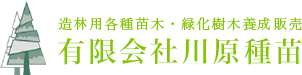 有限会社 川原種苗