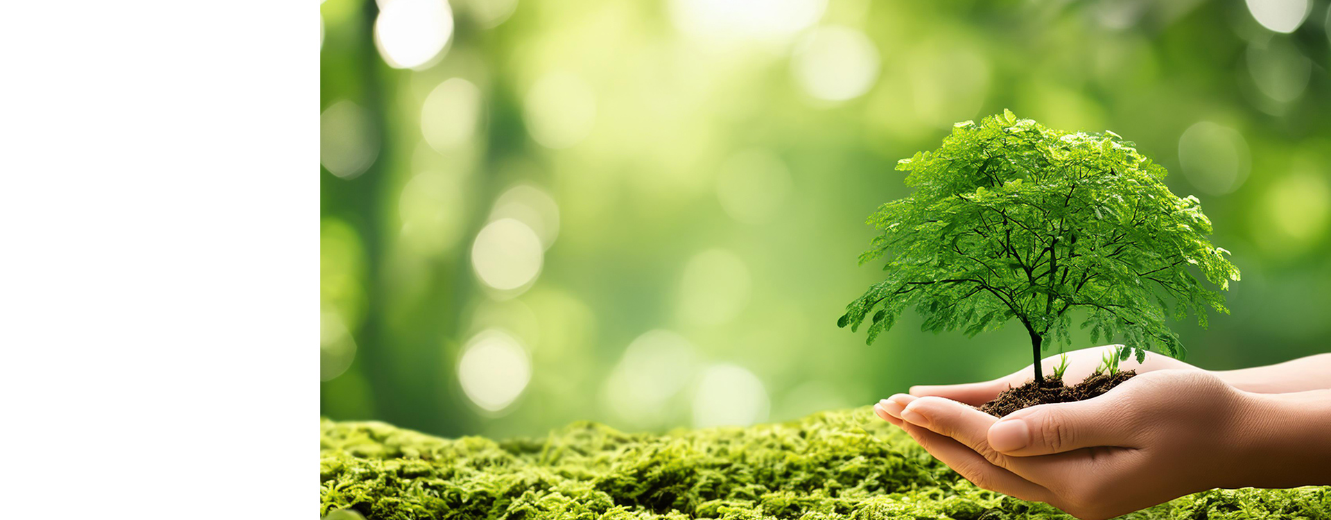 有限会社川原種苗