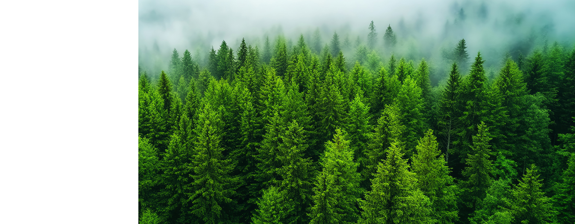 有限会社川原種苗