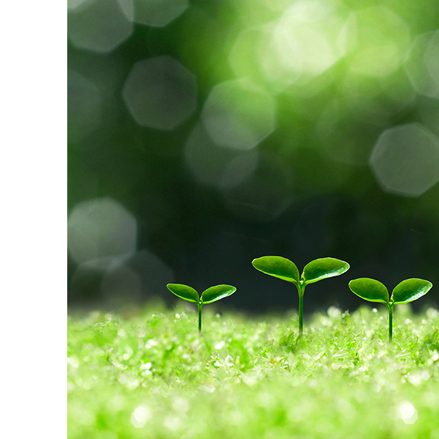 有限会社川原種苗