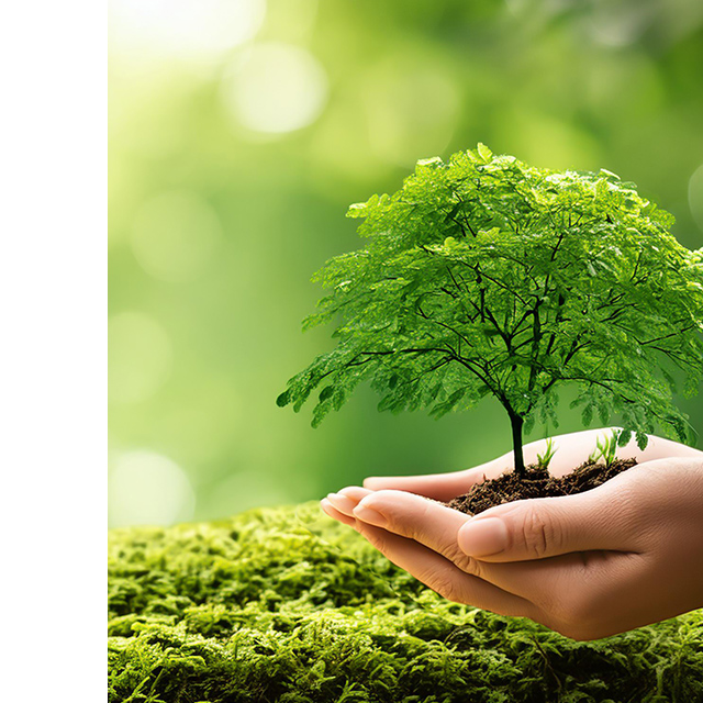 有限会社川原種苗